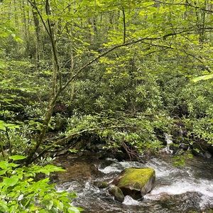 CLOSET CLEAR OUT! 

Bundle deal‼️ 2 for 20% off‼️